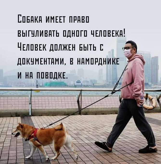 DJA-6CB7oEBgpZo8eMV_hL5JNLy_rBGcyyy1Ikjy8La8Zz2lqFQI2MPlBmcaDF0JVNThck4_tCfmp_nXvc9Yuw.jpg