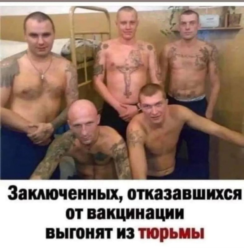 тюрьма и вакцина.jpg