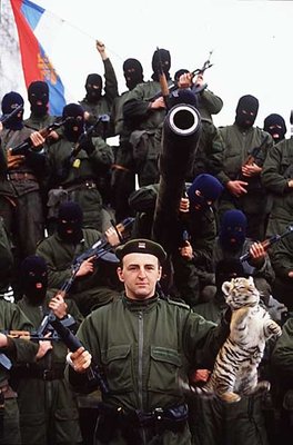 Тигры Аркана.jpg
