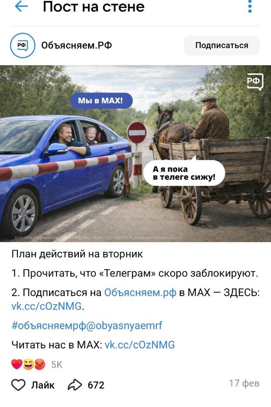 в_телеге.jpg
