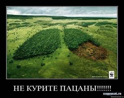 wwf-смешные-демотиваторы-1013.jpg
