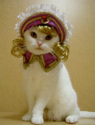 funny_cats_94.jpg