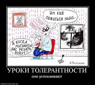 2405028.jpg