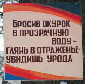 1-websd.jpg