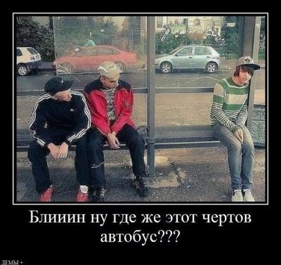 Где автобус.jpg