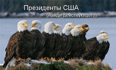 Презедент США.jpg