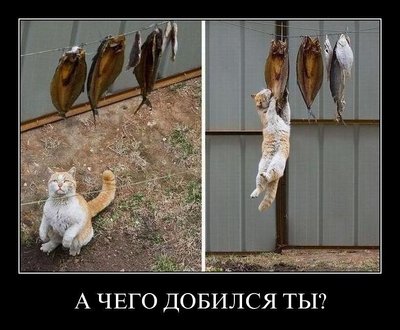 Стремление.jpg