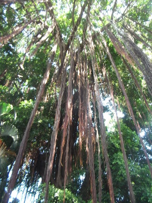DSCF2839.JPG