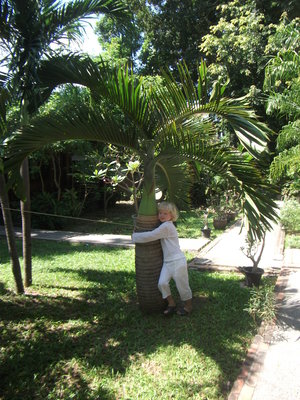 DSCF2847.JPG