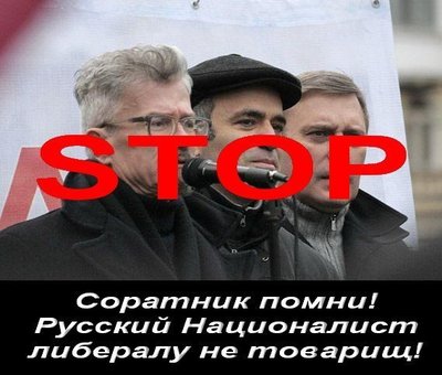 3229_900.jpg