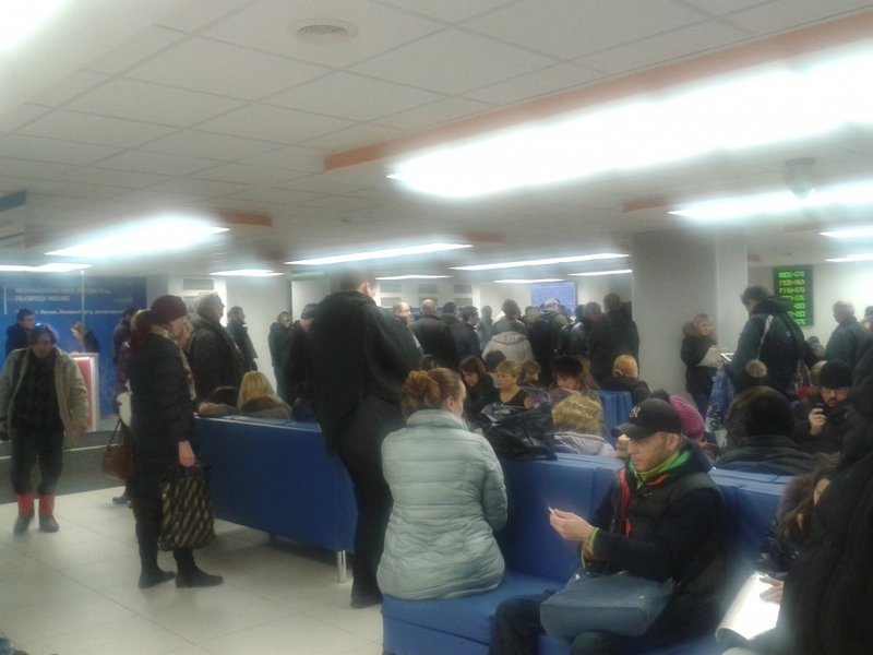 1050324_900.jpg