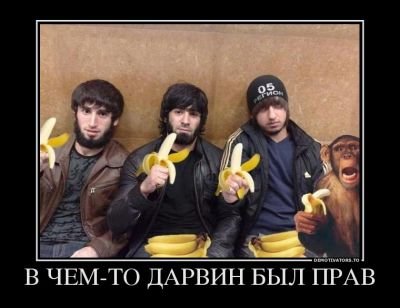 13599445702652.jpg