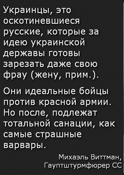 .a5dbcf81d9d1.jpg