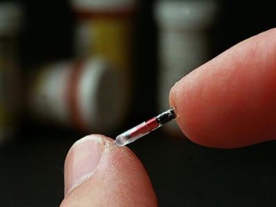 verichip2a_f.jpg